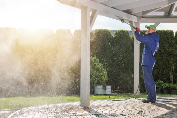 Best House Exterior Washing  in Smyrna, DE